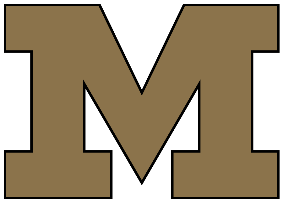 Missouri Tigers 1996-2011 Secondary Logo DIY iron on transfer (heat transfer)